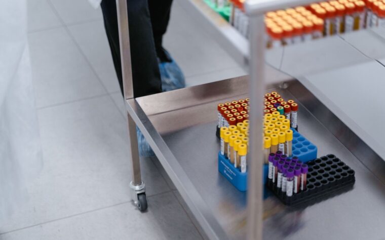 Thyroid Testing: TSH, T3, T4, and What Your Numbers Mean
