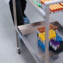 What Does a Low PLT Mean in a Blood Test? Low Platelet Count Explained