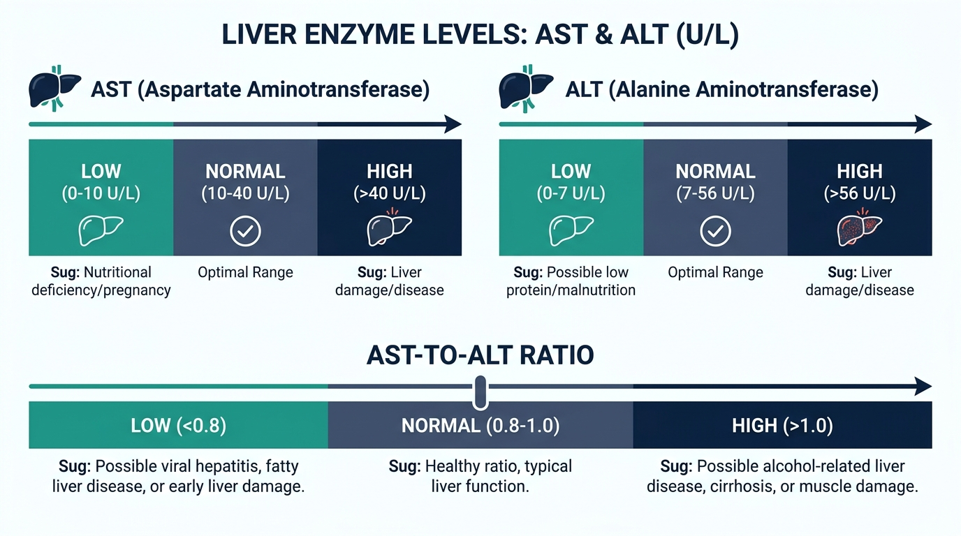 Reference range chart showing low, normal, and high AST and ALT levels plus the AST to ALT ratio