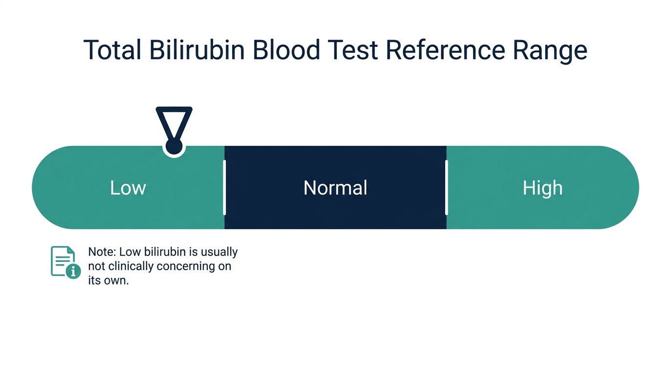 Schematic chart showing total bilirubin reference range bands from low to high, with a marker on the low band