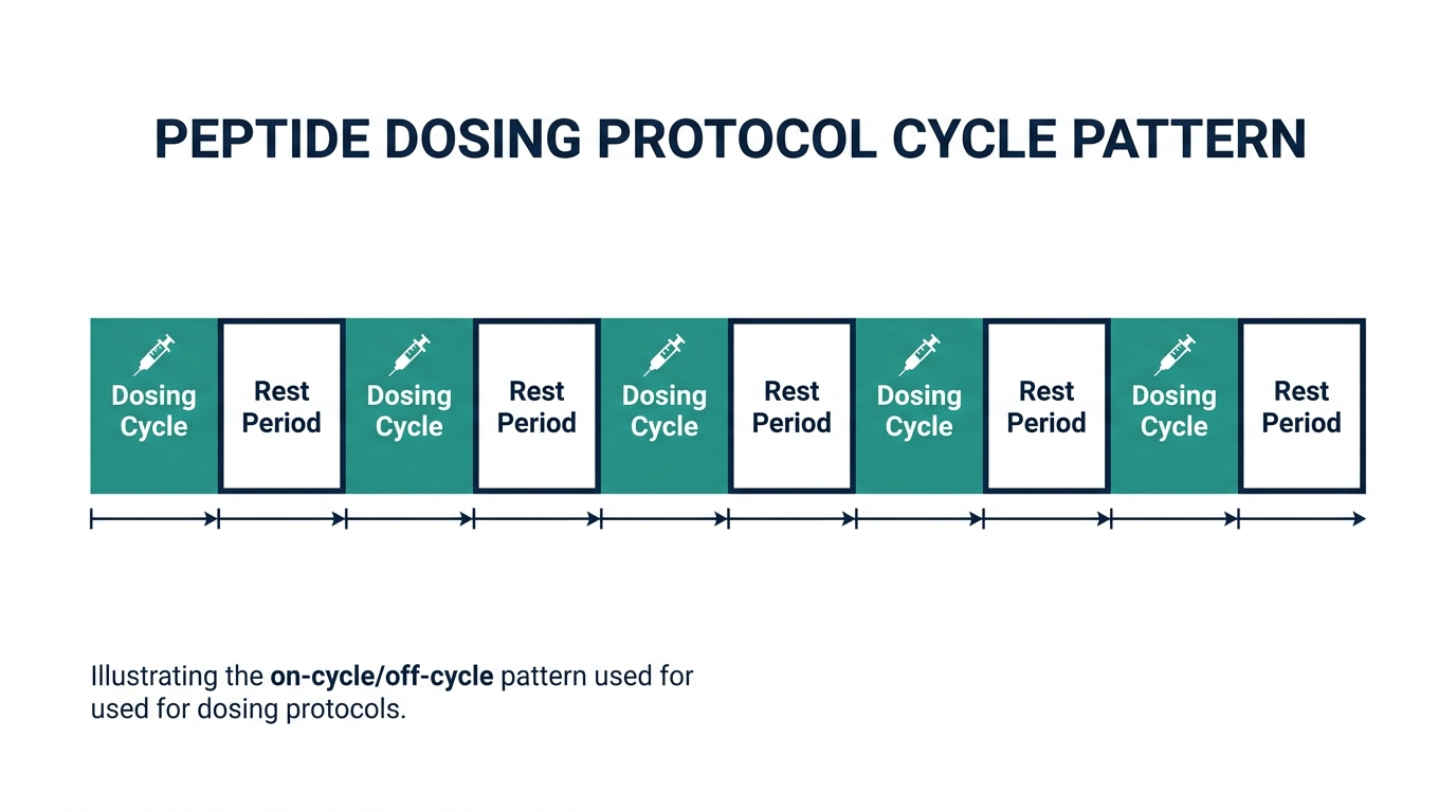 Timeline diagram showing alternating dosing cycle blocks and rest period blocks for a peptide protocol
