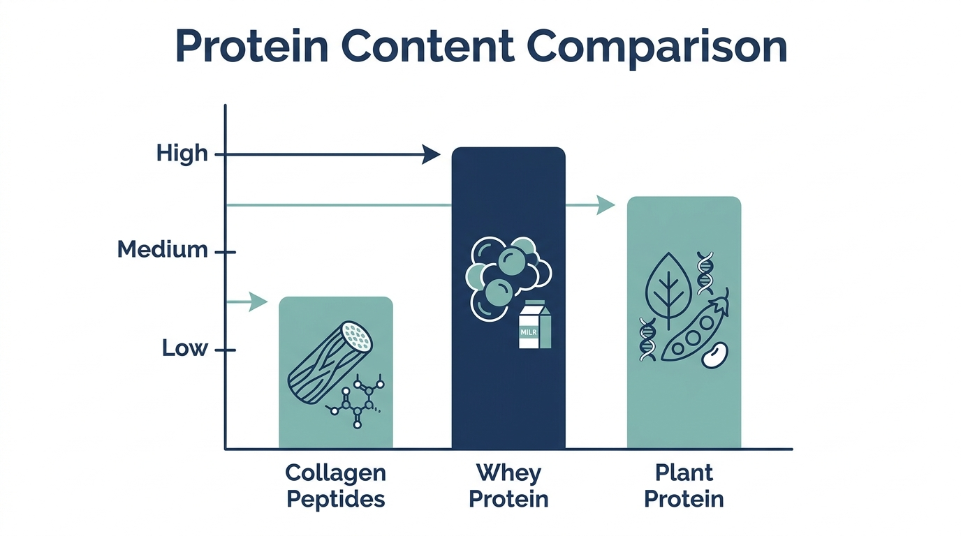 Bar chart comparing protein content of collagen peptides versus whey and plant protein