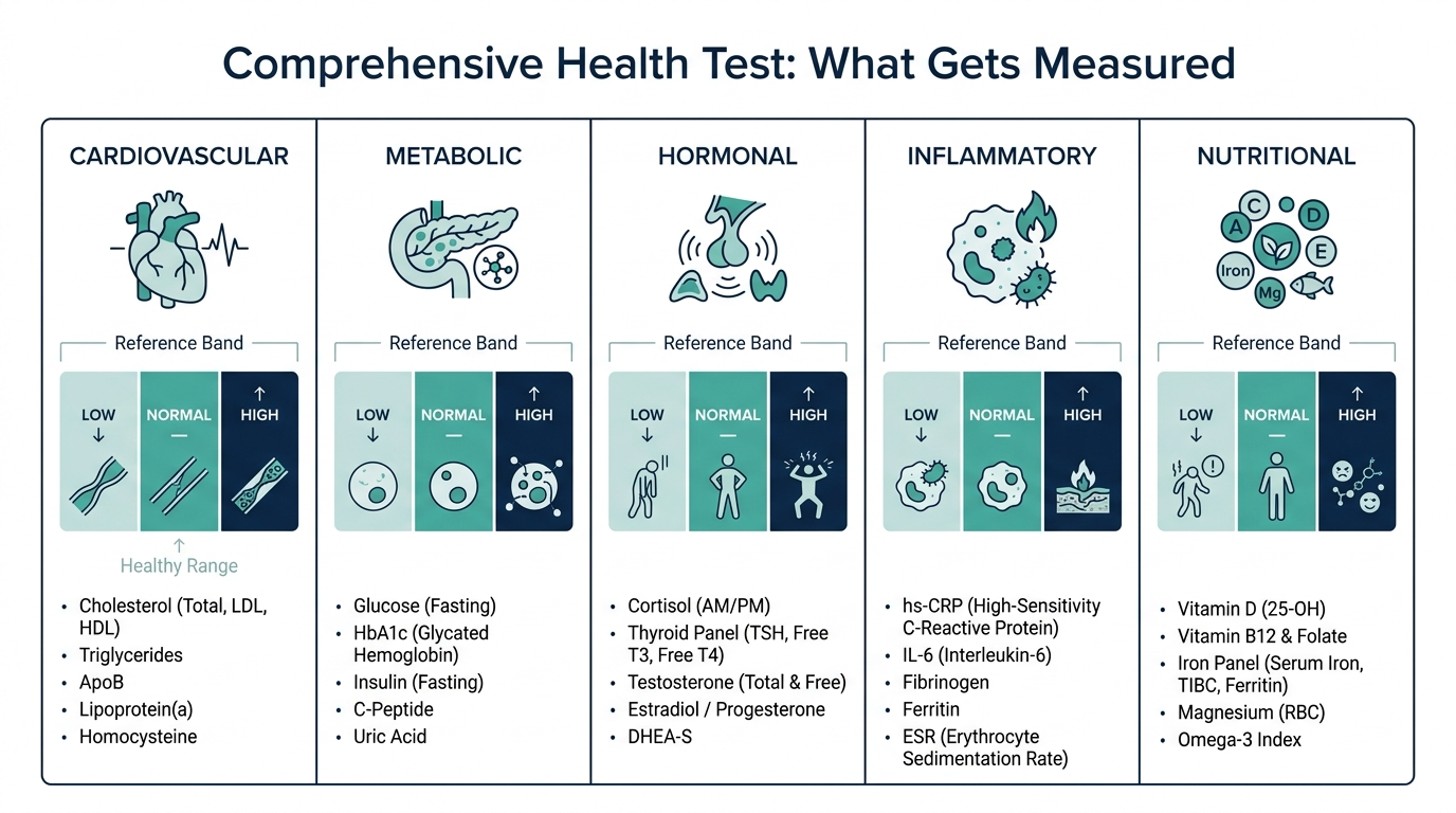Dashboard-style chart of biomarker categories measured in a comprehensive health test, each shown with a low, normal, and high reference band