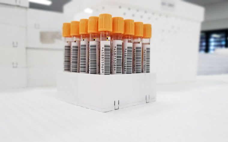 Does Insurance Cover Blood Work? When You Pay and When You Don’t