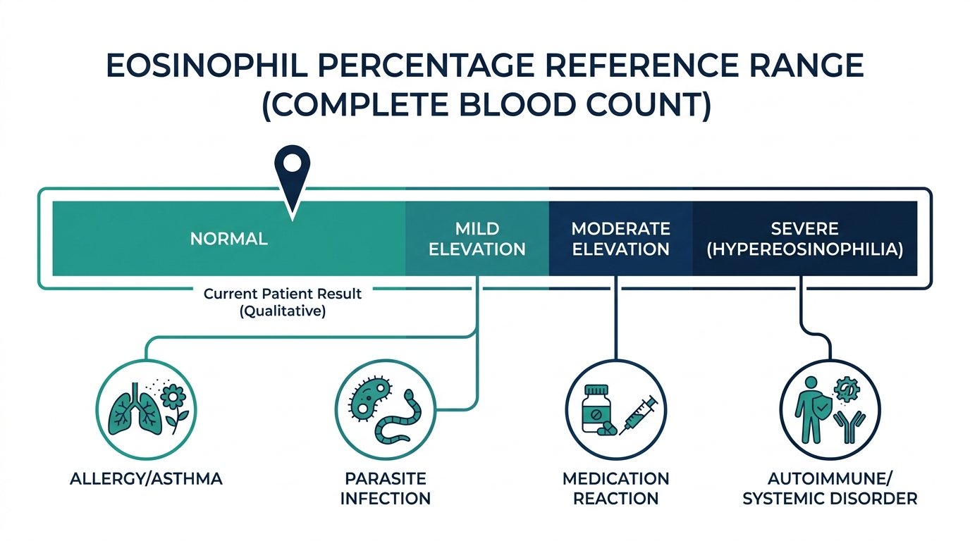 Schematic chart showing eosinophil percentage reference bands from normal to severe elevation, with common causes at each level