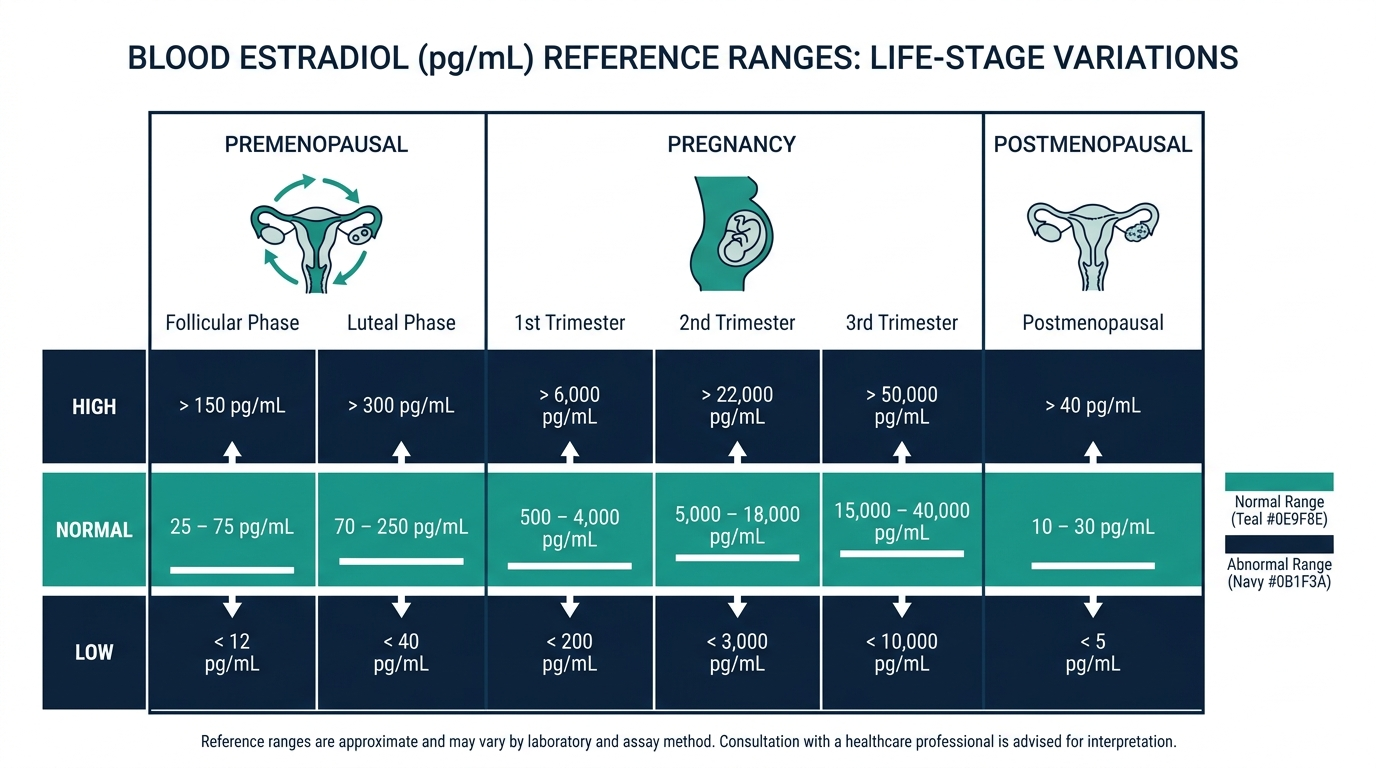 Chart showing low, normal, and high estradiol reference bands across premenopausal, pregnancy, and postmenopausal life stages