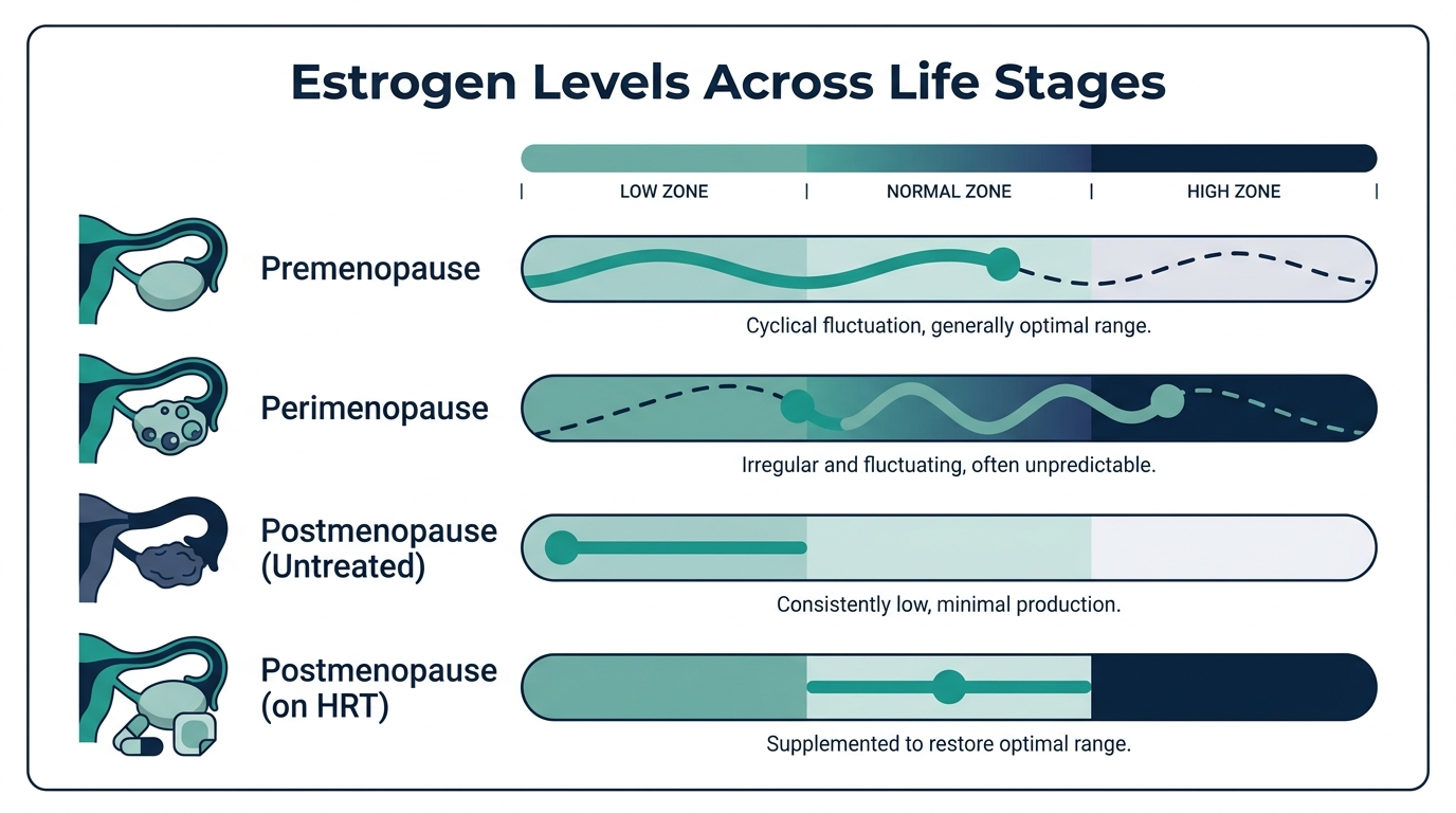 Schematic chart of estrogen levels across premenopause, perimenopause, postmenopause, and on HRT