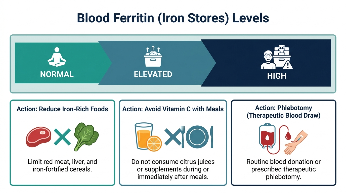 Schematic chart of normal, elevated, and high ferritin bands with icons for diet changes and phlebotomy