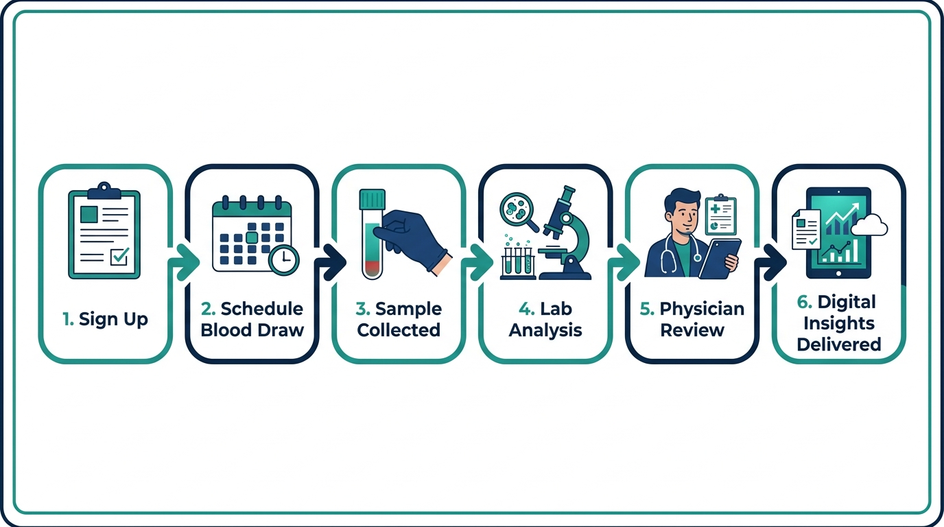 Six-step flow diagram of the membership process: sign up, schedule draw, sample collected, lab analysis, physician review, insights delivered
