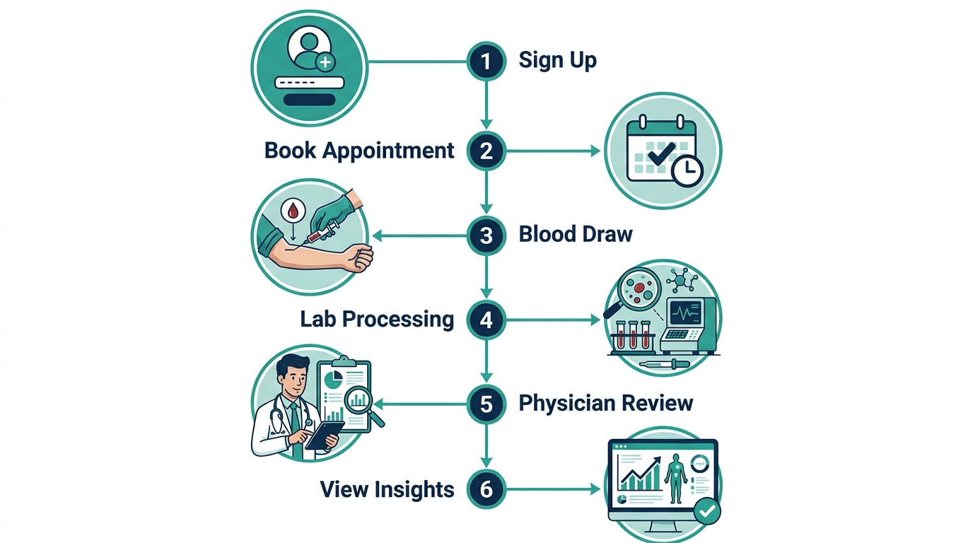 Six-step vertical diagram: sign up, book appointment, blood draw, lab processing, physician review, view insights