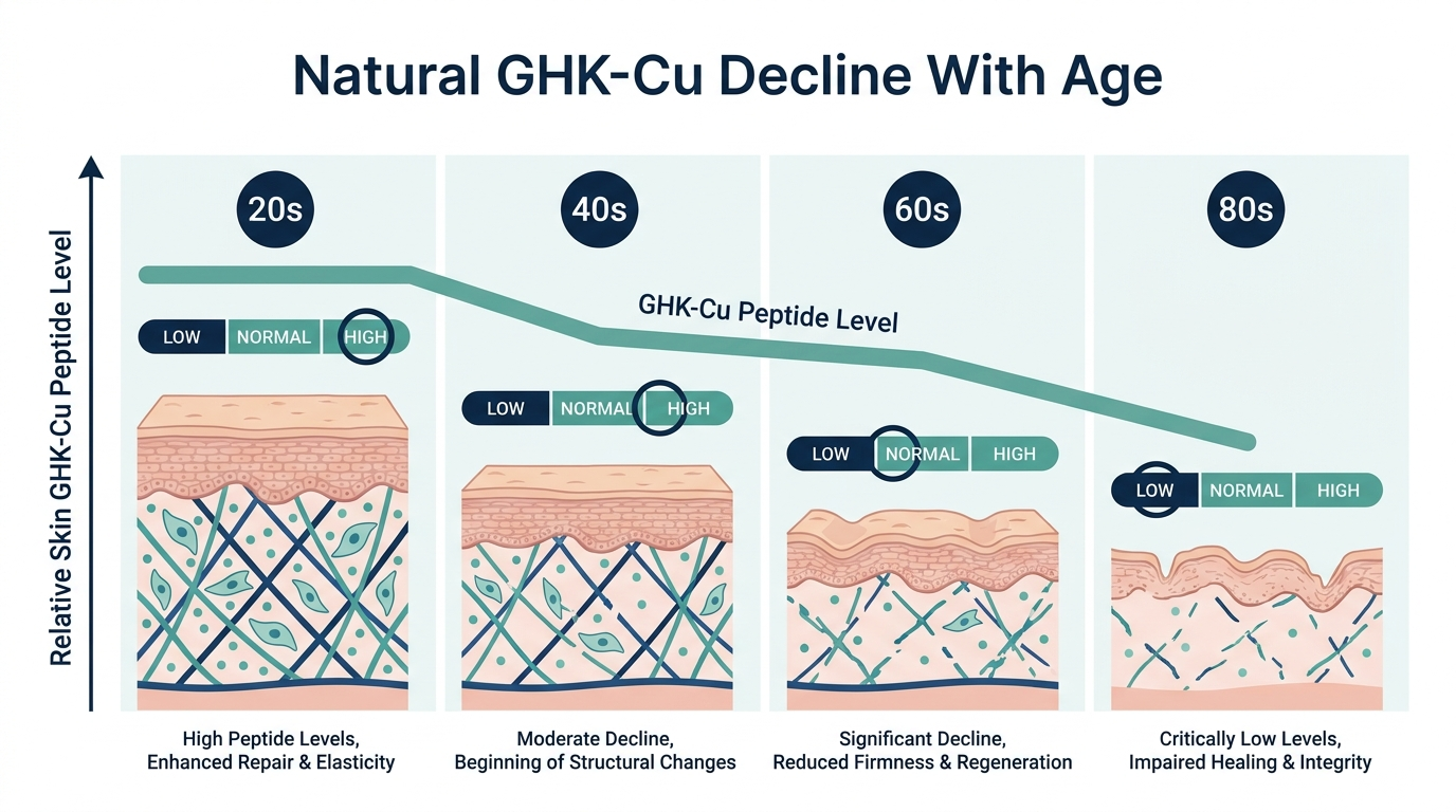 Schematic chart showing natural decline of GHK-Cu peptide levels in skin with age