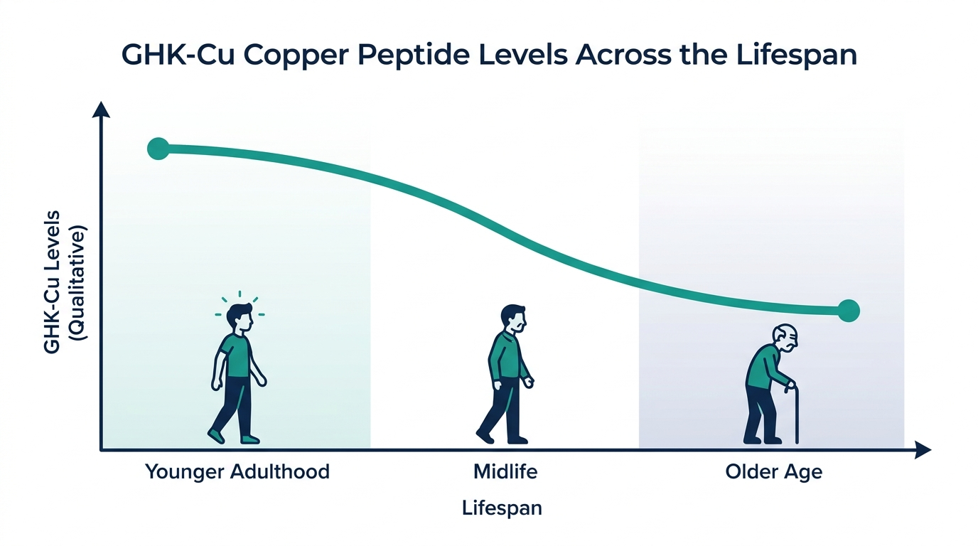 Declining chart showing GHK-Cu copper peptide levels across younger adulthood, midlife, and older age