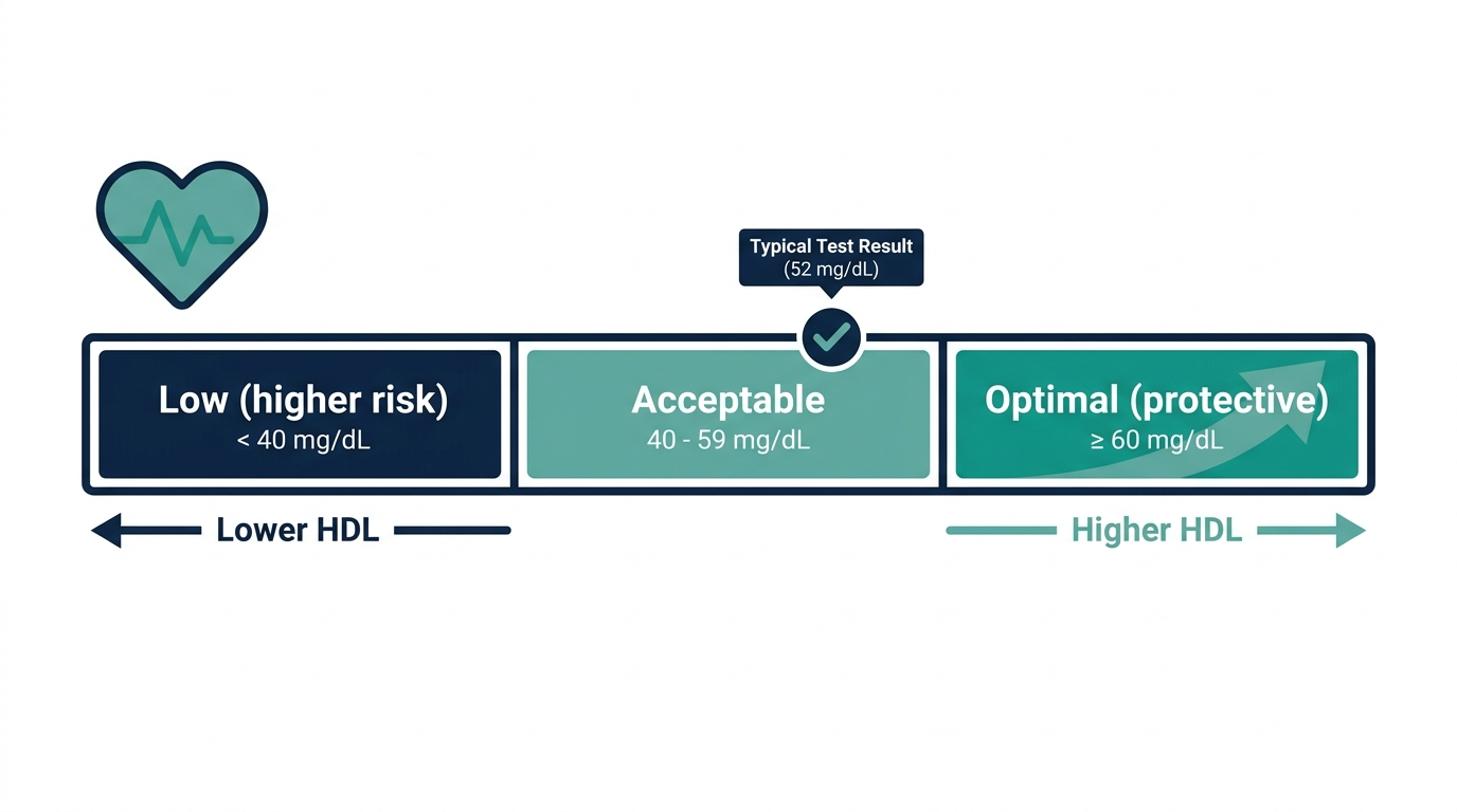 Schematic chart of HDL cholesterol reference bands from low to optimal, where higher HDL is protective