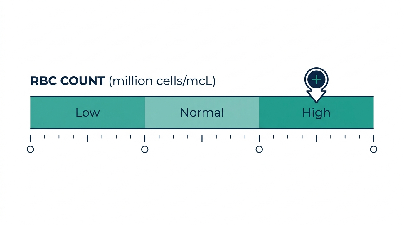 Schematic reference-range chart for red blood cell count showing Low, Normal, and High bands