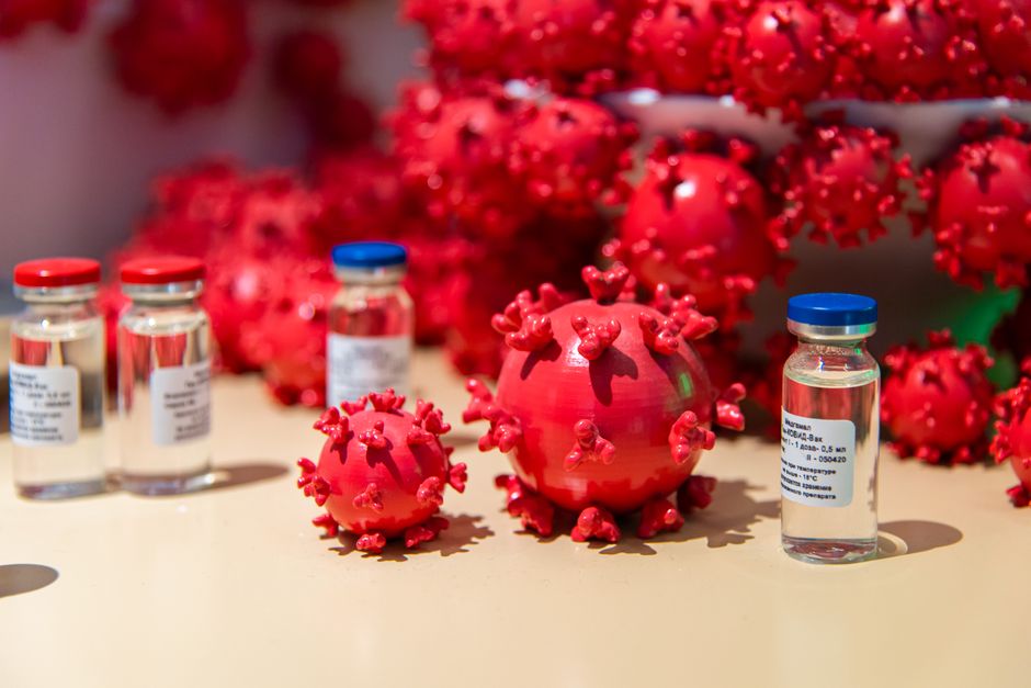What Is Monocytes on a Blood Test? What This Immune Cell Count Reveals - immune system cells