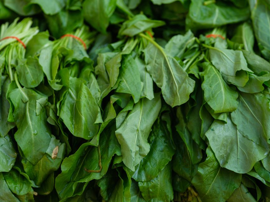 What Is MCH in a Blood Test? The Red Cell Number That Reveals the Type - iron rich foods