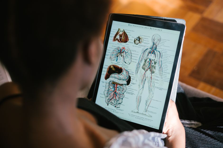 What Blood Test Shows Liver Function? The Liver Panel Explained Marker - liver health anatomy