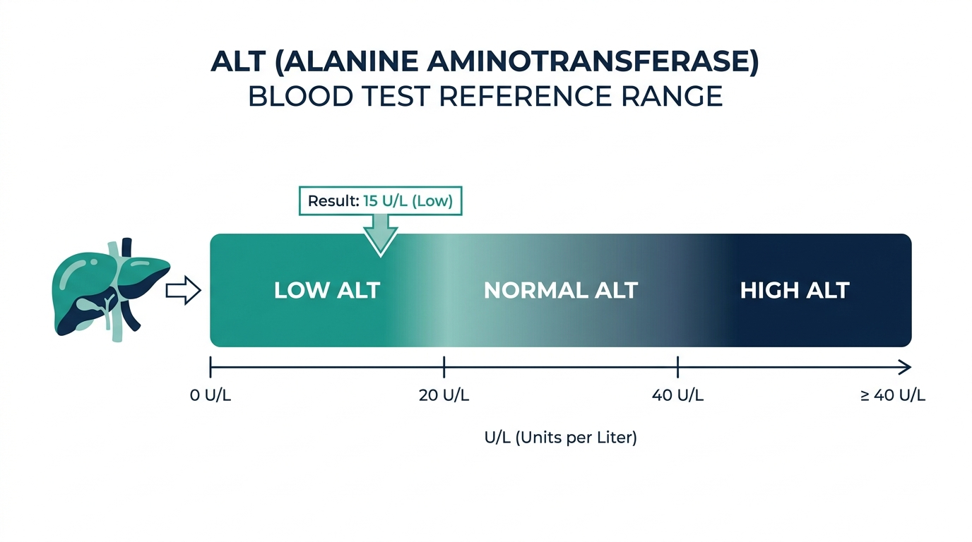 Reference range chart showing low, normal, and high bands for ALT blood test results