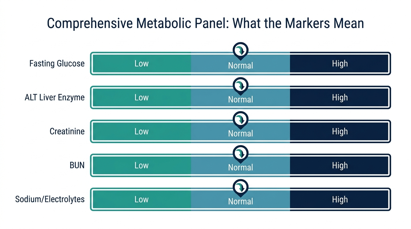 Schematic chart showing low, normal, and high reference bands for glucose, ALT, creatinine, BUN, and sodium