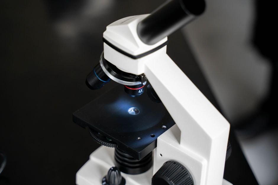 What Is Globulin in a Blood Test? The Overlooked Protein That Tracks Y - microscope laboratory