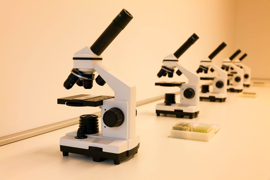 What Is Monocytes on a Blood Test? What This Immune Cell Count Reveals - microscope laboratory