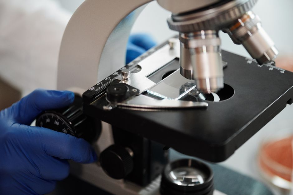 What Does Low WBC Mean in a Blood Test? Leukopenia Explained - microscope laboratory