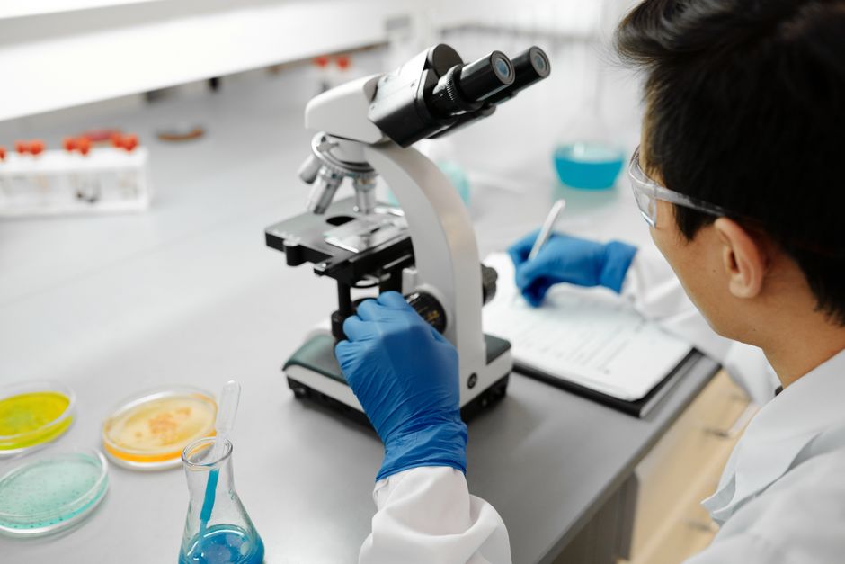 What Does a High WBC Mean in a Blood Test? Causes and Red Flags - microscope laboratory