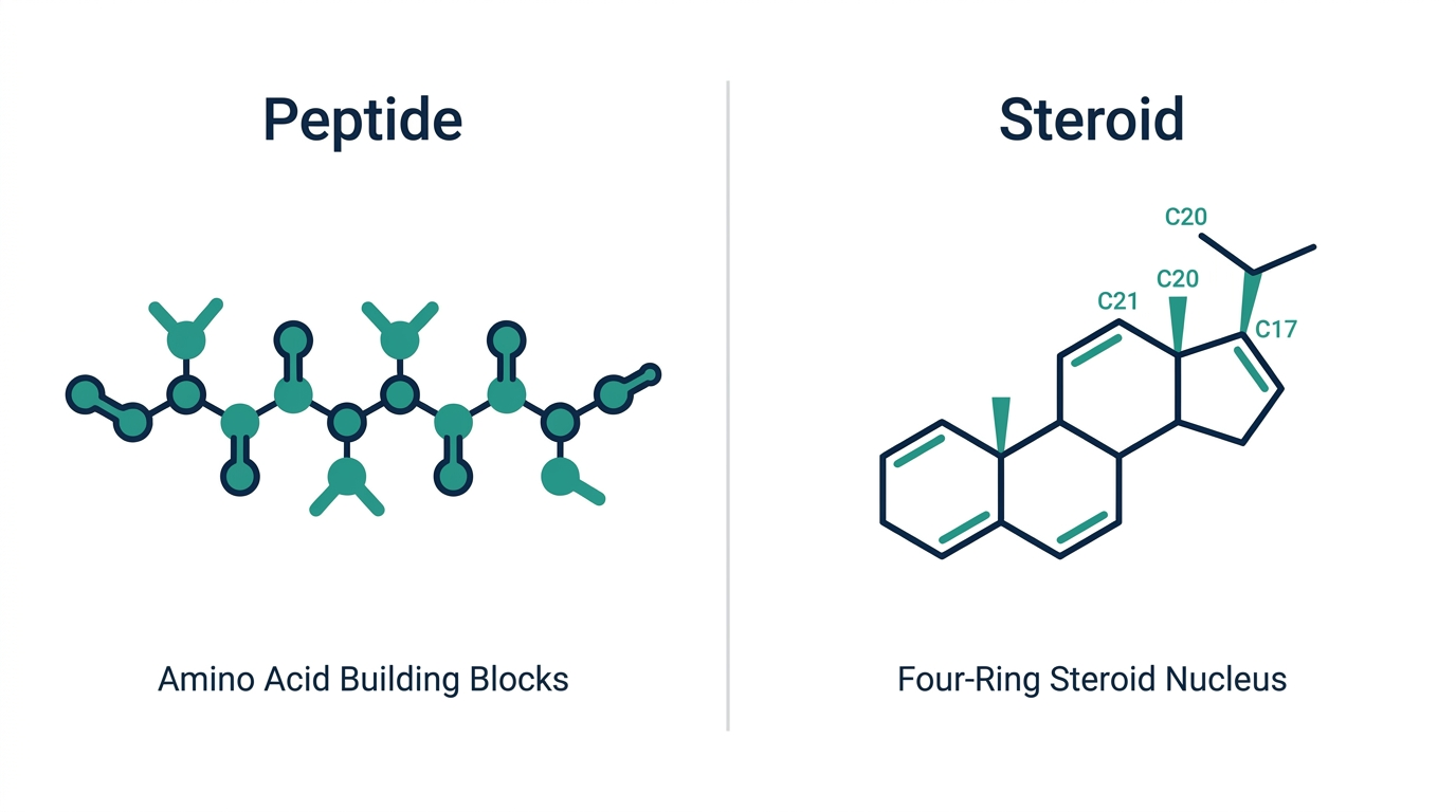 Side-by-side molecular structure comparison showing a peptide chain of amino acids next to a four-ring steroid nucleus structure