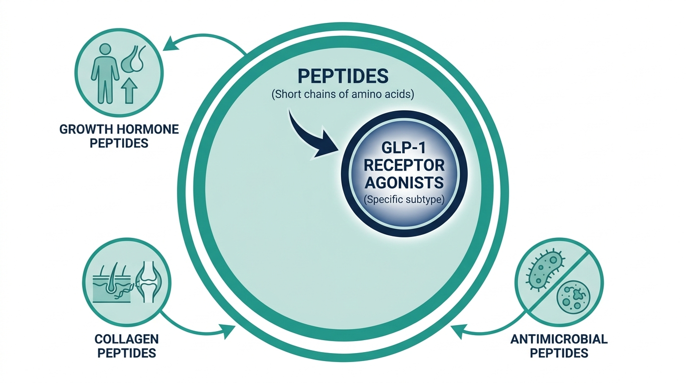 Diagram showing GLP-1 receptor agonists as one subtype within the broader peptide molecule class