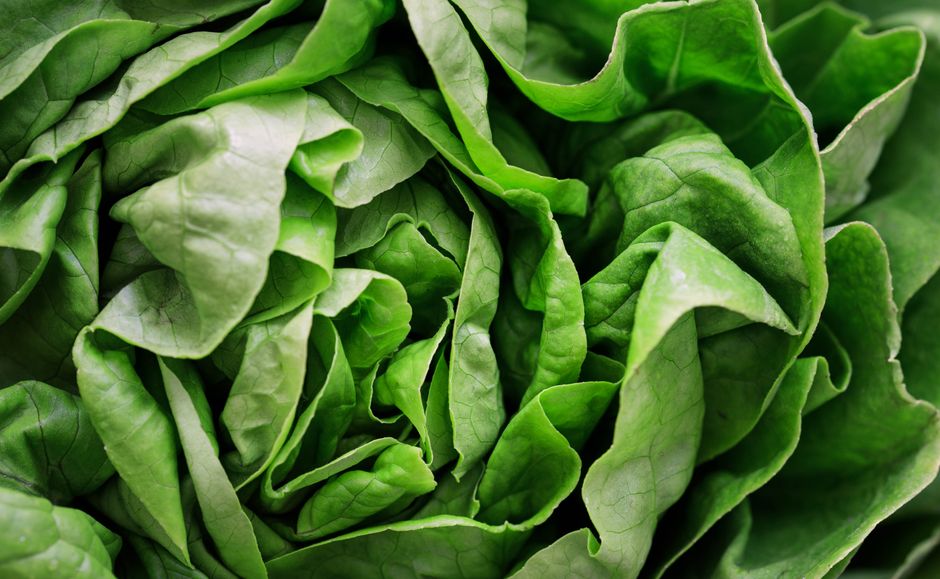 What Does Low LDL Cholesterol Mean in a Blood Test? - salad healthy eating