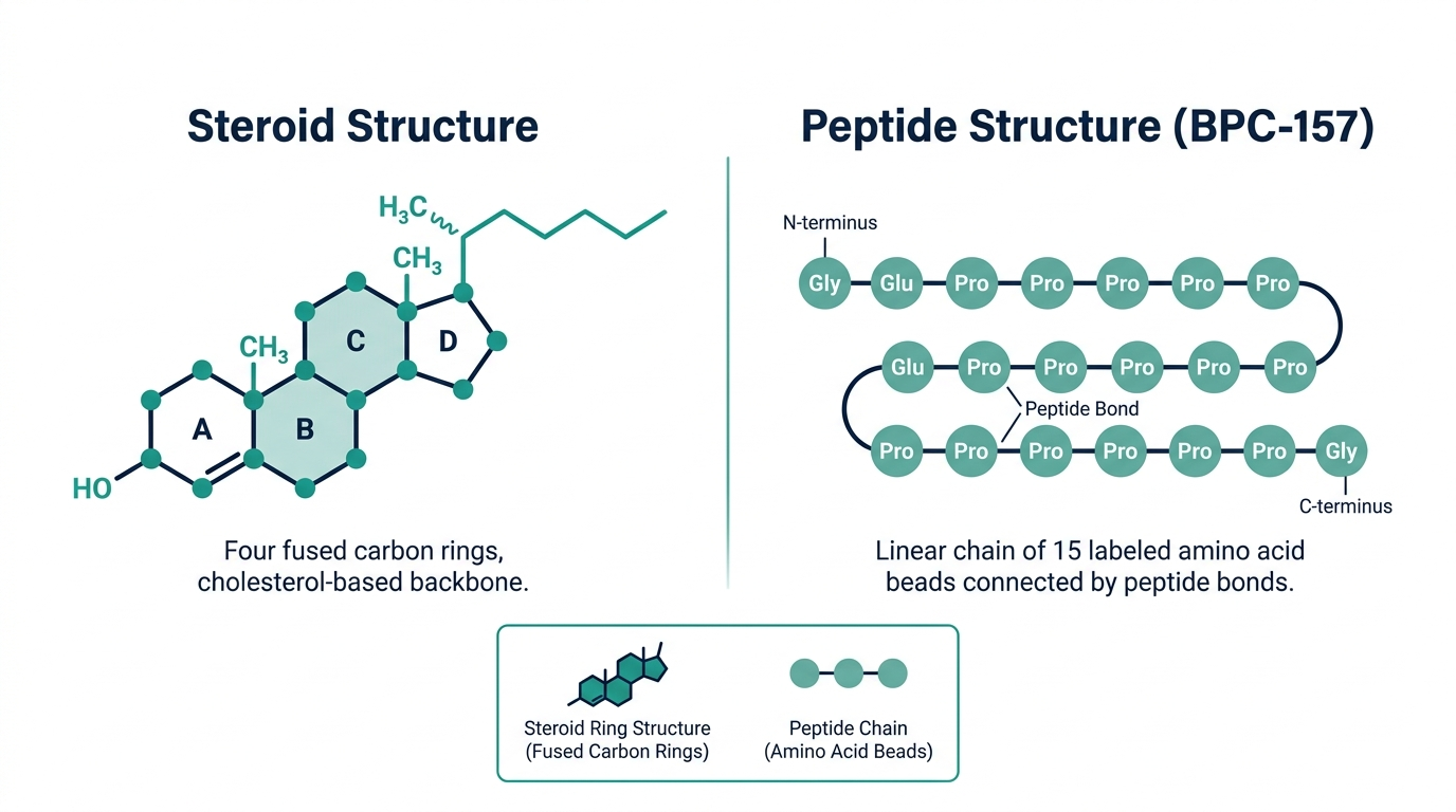 Diagram comparing steroid ring molecular structure to peptide amino acid chain structure of BPC-157