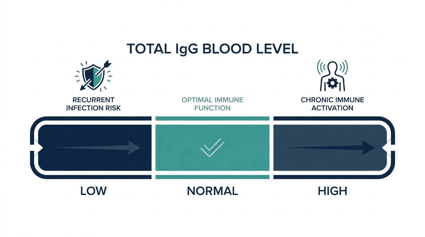 Schematic gauge chart showing total IgG level across low, normal, and high bands with associated clinical patterns