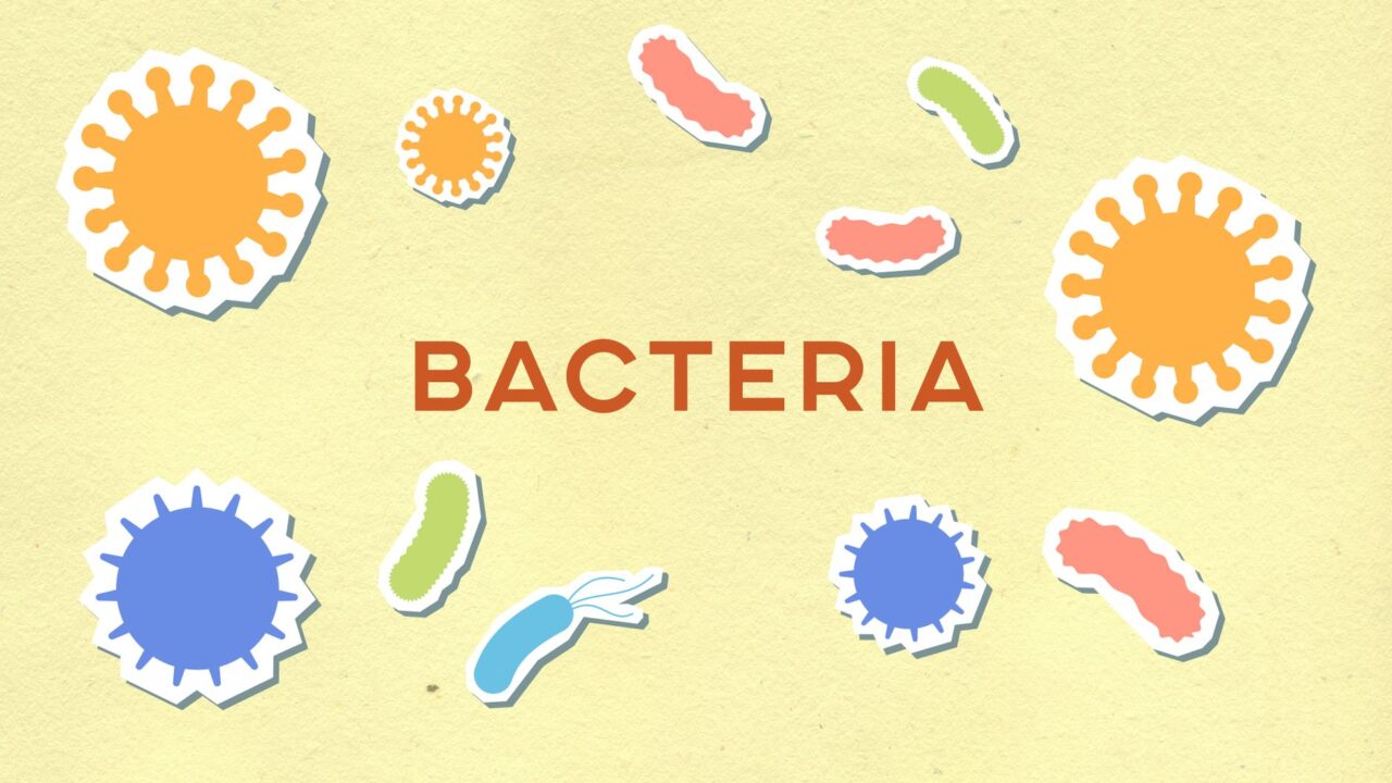 What Does Low WBC Mean in a Blood Test? Leukopenia Explained