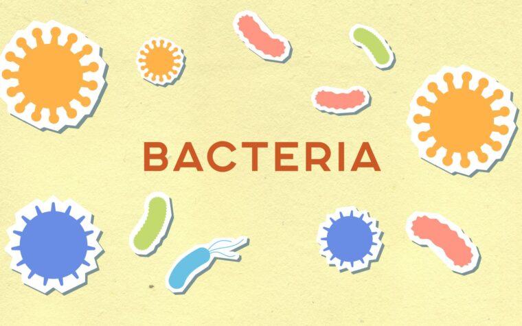 What Does Low WBC Mean in a Blood Test? Leukopenia Explained