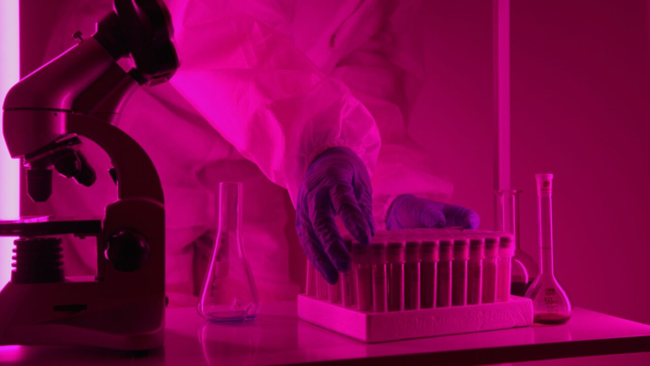What Is CK in a Blood Test? Creatine Kinase Explained Without the Panic