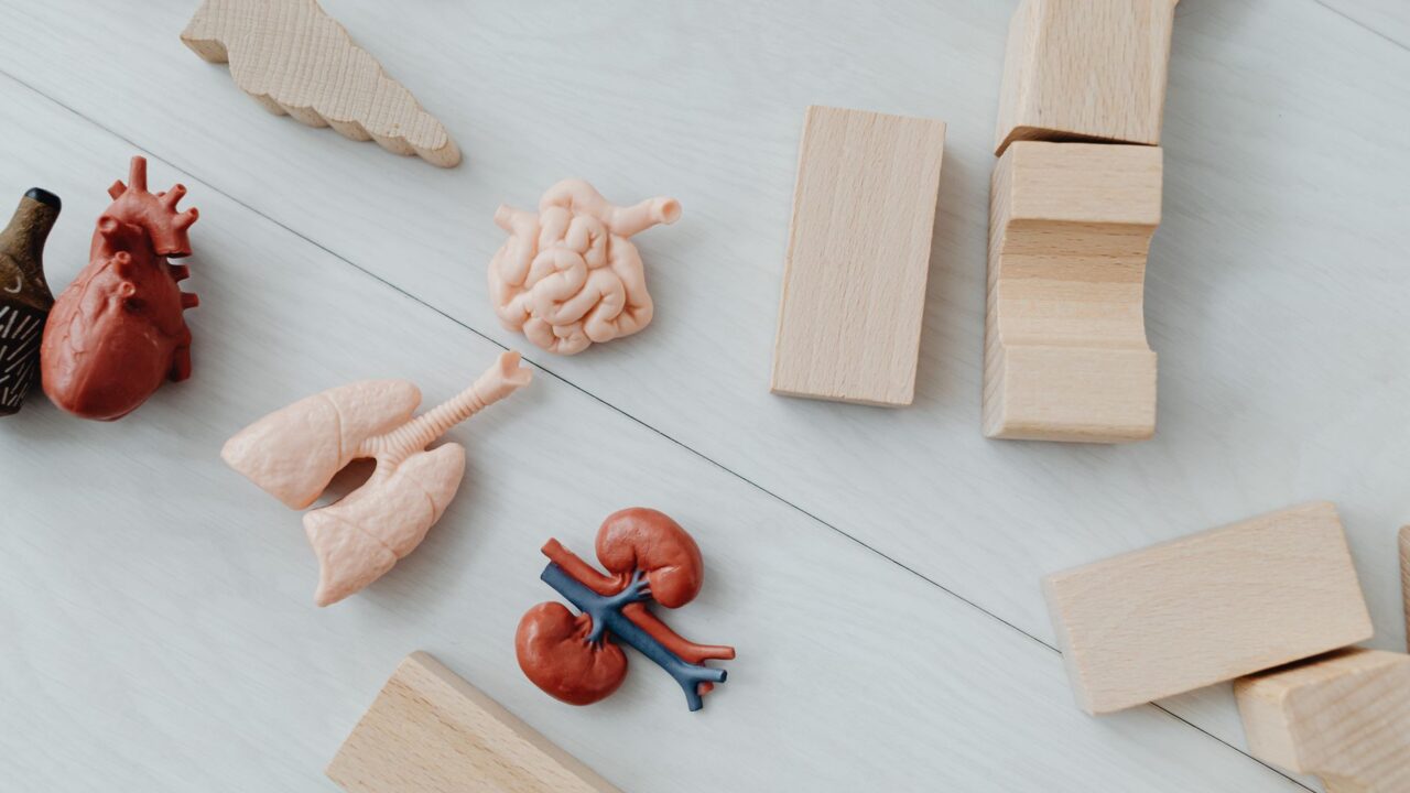 What Is Creatinine in a Blood Test? The Kidney Number Most People Misread