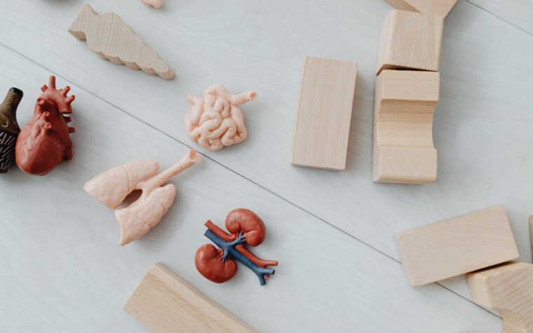 What Is Creatinine in a Blood Test? The Kidney Number Most People Misread