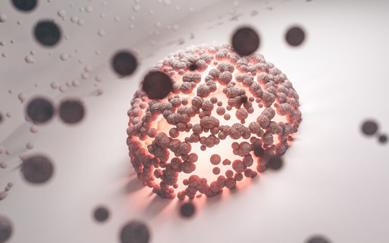 What Is IgG in a Blood Test? Your Immune Memory, Decoded