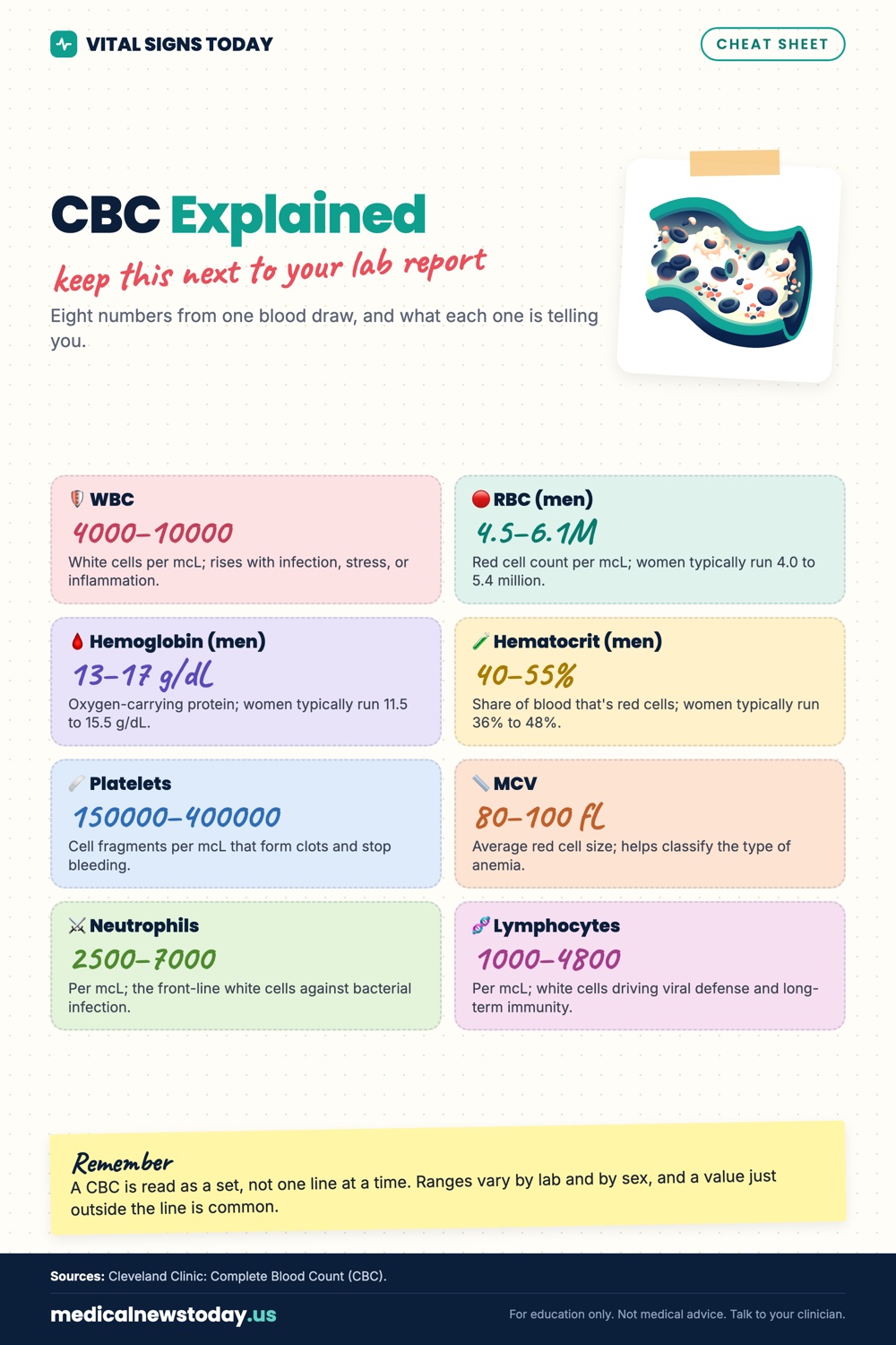 CBC Explained infographic: Eight numbers from one blood draw, and what each one is telling you.