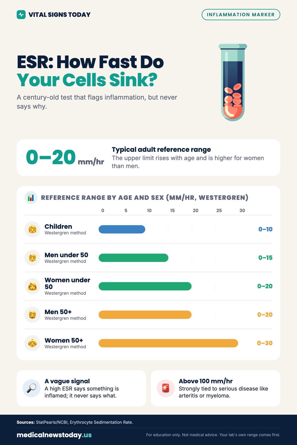 ESR Test (Sed Rate): What It Measures and When It Matters