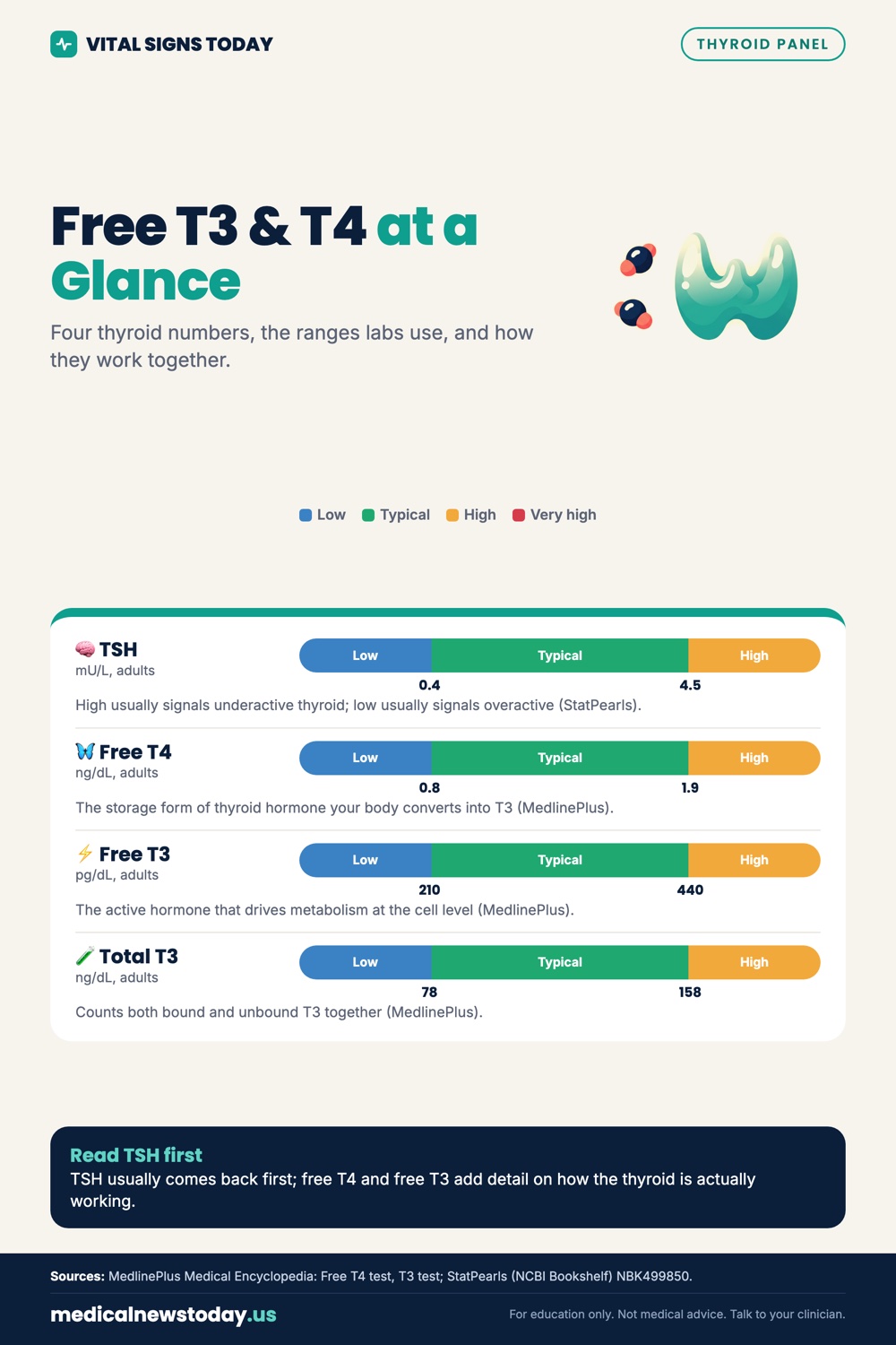 Free T3 & T4 at a Glance infographic: Four thyroid numbers, the ranges labs use, and how they work together.