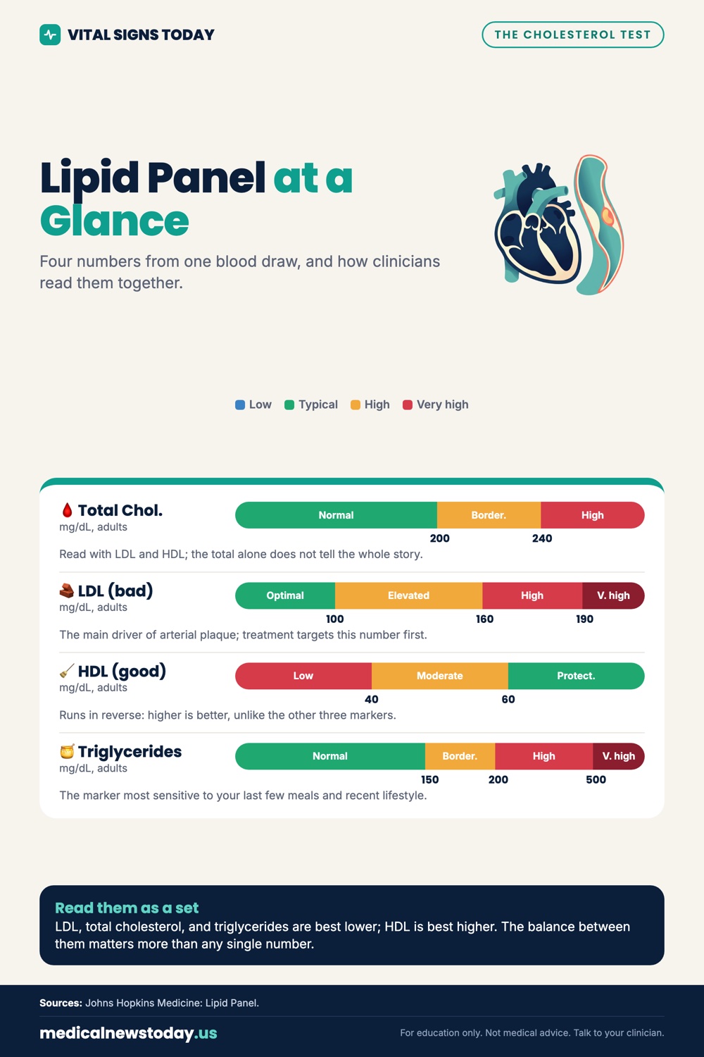 Lipid Panel at a Glance infographic: Four numbers from one blood draw, and how clinicians read them together.