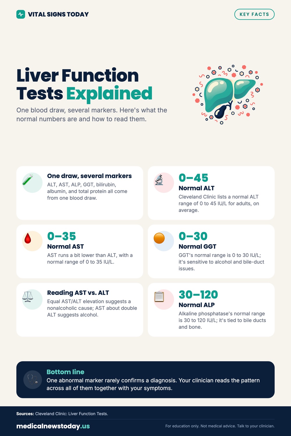 Liver Function Tests Explained infographic: One blood draw, several markers. Here's what the normal numbers are and how to read them.