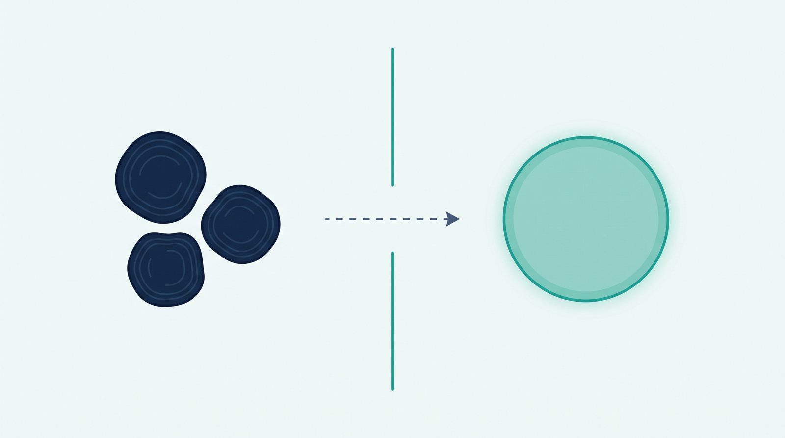 Infographic-style diagram grouping LDL, VLDL, and remnant particles together versus HDL particles separately