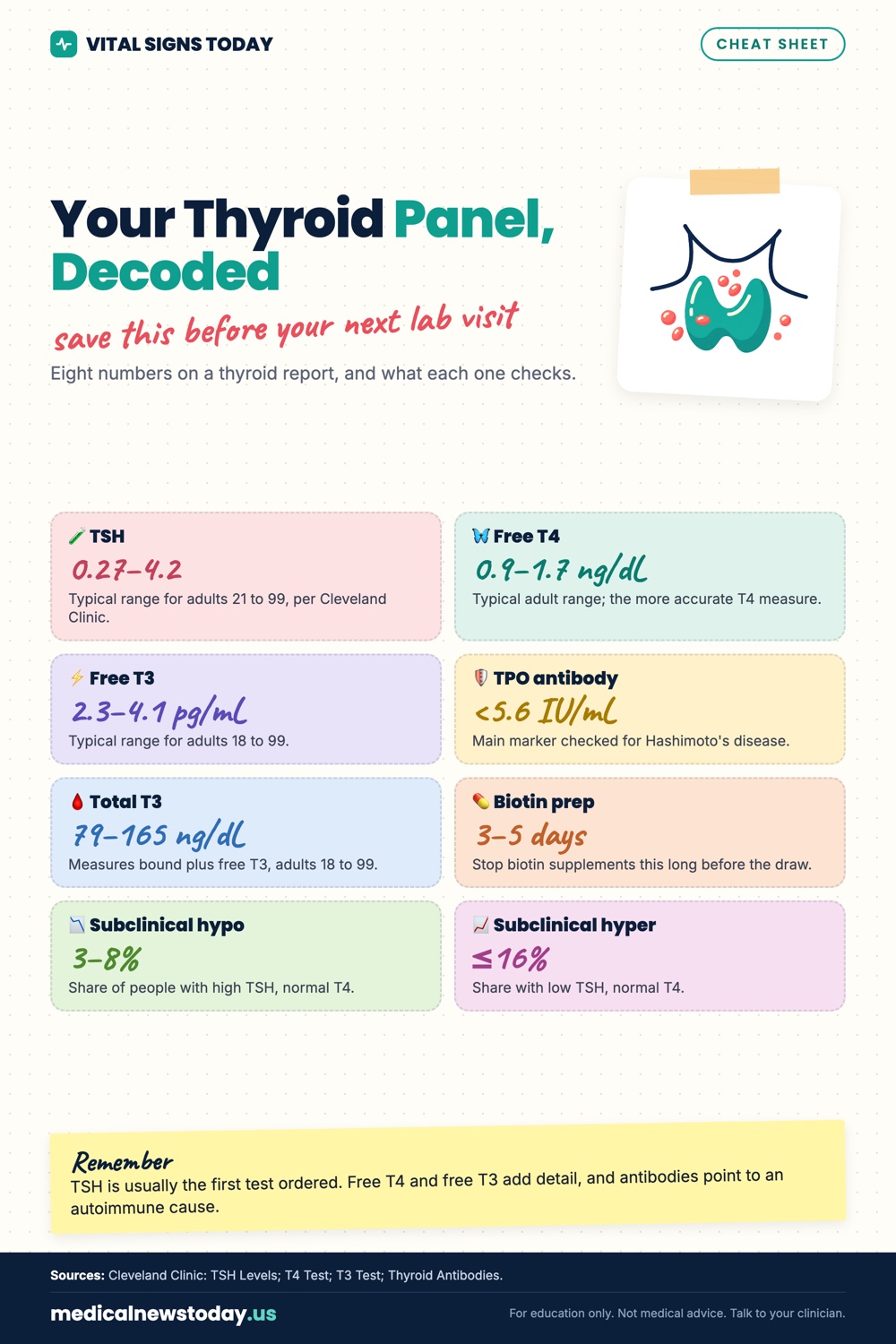Your Thyroid Panel, Decoded infographic: Eight numbers on a thyroid report, and what each one checks.