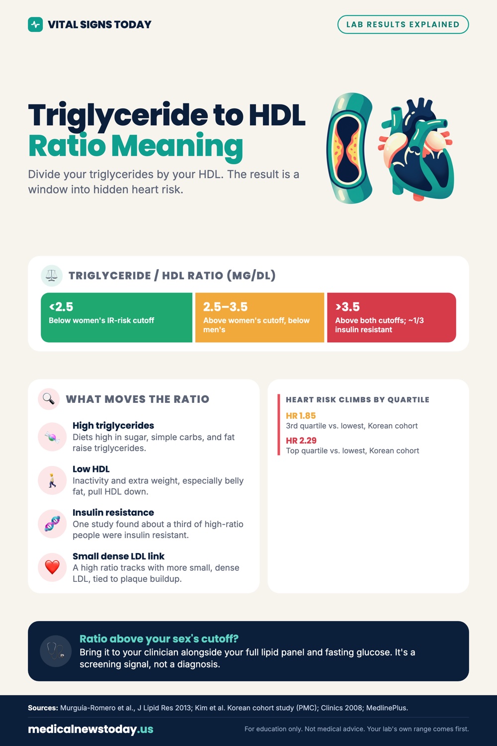 Triglyceride to HDL Ratio Meaning infographic: Divide your triglycerides by your HDL. The result is a window into hidden heart risk.
