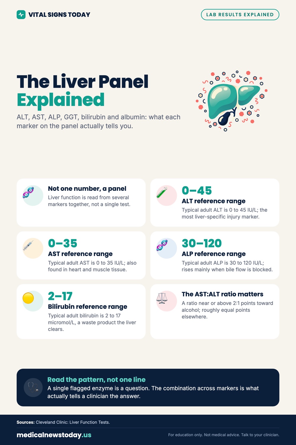 The Liver Panel Explained infographic: ALT, AST, ALP, GGT, bilirubin and albumin: what each marker on the panel actually tells you.