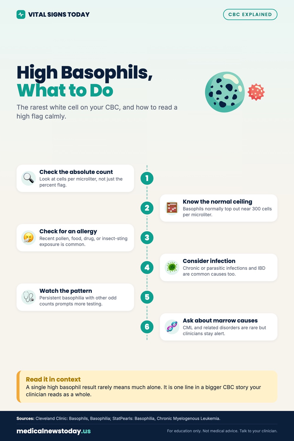 High Basophils, What to Do infographic: The rarest white cell on your CBC, and how to read a high flag calmly.