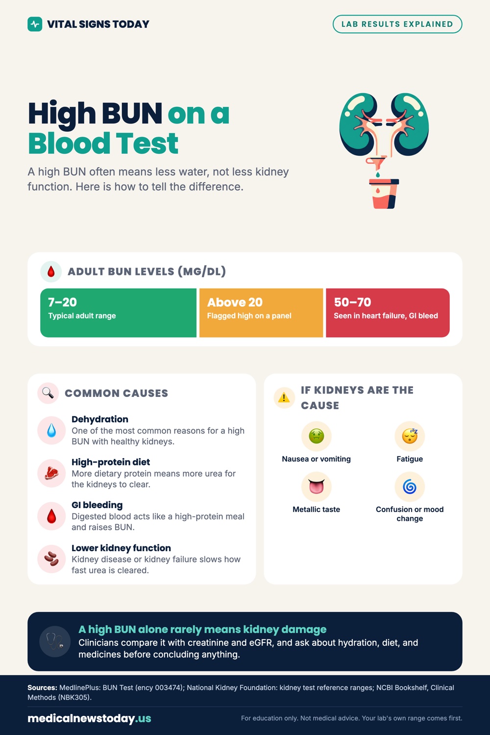 High BUN on a Blood Test infographic: A high BUN often means less water, not less kidney function. Here is how to tell the difference.