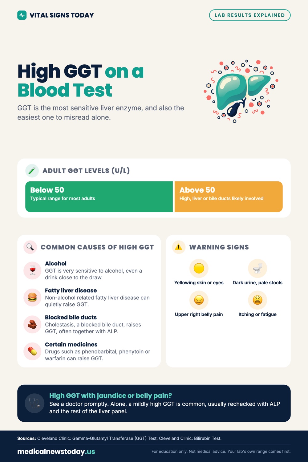 High GGT on a Blood Test infographic: GGT is the most sensitive liver enzyme, and also the easiest one to misread alone.